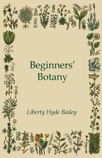 Enlarge image Cover: Beginners' Botany - Read Books