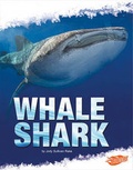 Cover: Whale Shark - Capstone Press