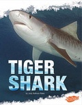 Cover: Tiger Shark - Capstone Press