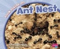 Cover: Look Inside an Ant Nest - Capstone Press