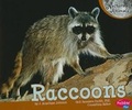 Cover: Raccoons - Capstone Press