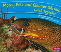 Enlarge image Cover: Moray Eels and Cleaner Shrimp Work Together - Capstone Press
