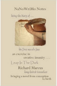 Enlarge image Cover: NaNoWriMo Notes - Lulu.com
