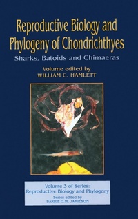 Abbildung von: Reproductive Biology and Phylogeny of Chondrichthyes - Science Publishers,U.S.