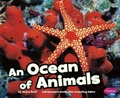 Cover: Habitats Around the World an Ocean of Animals - Capstone Press