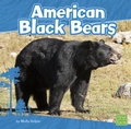 Cover: Bears American Black Bears - Capstone Press
