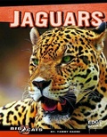 Cover: Jaguars - Capstone Press