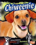 Cover: Chiweenie - Capstone Press
