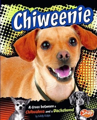 Enlarge image Cover: Chiweenie - Capstone Press