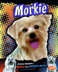 Cover: Morkie - Capstone Press