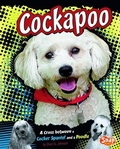 Cover: Cockapoo - Capstone Press