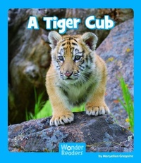 Enlarge image Cover: A Tiger Cub - Capstone Press