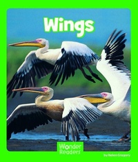 Enlarge image Cover: Wings - Capstone Press