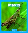 Cover: Insects - Capstone Press