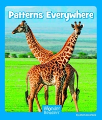 Enlarge image Cover: Patterns Everywhere - Capstone Press