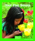 Cover: Your Five Senses - Capstone Press