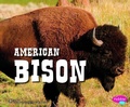 Cover: American Bison - Capstone Press
