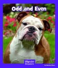 Cover: Odd and Even - Capstone Press