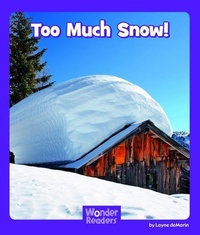 Enlarge image Cover: Too Much Snow - Capstone Press