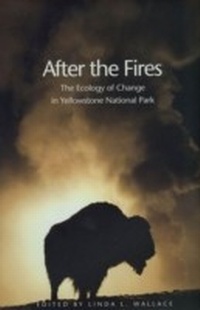 Abbildung von: After the Fires - Yale University Press