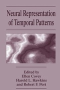 Bild: Neural Representation of Temporal Patterns - Springer