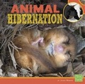 Cover: Animal Hibernation - Capstone Press