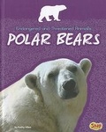 Cover: Polar Bears - Capstone Press