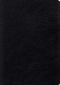 Cover: ESV Study Bible, Large Print - Crossway Books