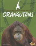 Cover: Orangutans - Capstone Press