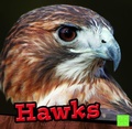 Cover: Hawks - Capstone Press