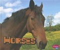 Cover: Horses - Capstone Press