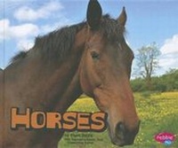Enlarge image Cover: Horses - Capstone Press