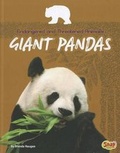Cover: Giant Pandas - Capstone Press