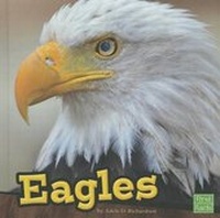 Enlarge image Cover: Eagles - Capstone Press