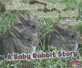 Cover: La Historia de Un Conejo Bebe/A Baby Rabbit Story - Capstone Press