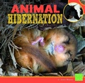 Cover: Learn About Animal Behavior Animal Hibernation - Capstone Press
