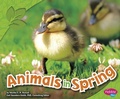 Cover: All About Spring Animals in Spring - Capstone Press