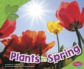 Cover: All About Spring Plants in Spring - Capstone Press
