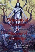 Cover: Delusions of Grandeur & Illusions of Eloquence - Lulu.com