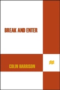 Cover: Break and Enter - Picador