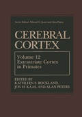 Bild: Cerebral Cortex - Springer