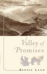 Enlarge image Cover: Valley of Promises - B & H International