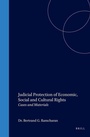 Cover: Judicial Protection of Economic, Social and Cultural Rights - Martinus Nijhoff