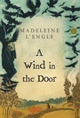 Cover: A Wind in the Door - Farrar, Straus and Giroux (BYR)