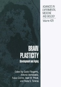 Cover: Brain Plasticity - Kluwer Academic/Plenum Publishers