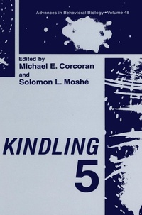Enlarge image Cover: Kindling 5 - Kluwer Academic / Plenum Publishers