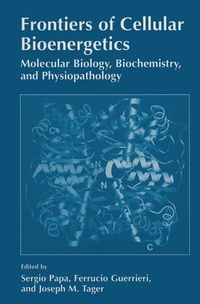 Abbildung von: Frontiers of Cellular Bioenergetics - Springer