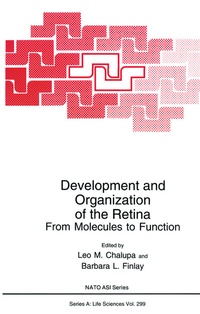 Bild: Development and Organization of the Retina - Springer