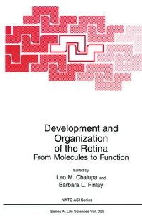 Enlarge image Cover: Development and Organization of the Retina - Springer