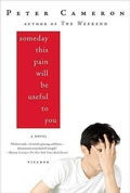 Cover: Someday This Pain Will Be Useful to You - Farrar, Straus and Giroux (BYR)